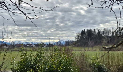 Hausen am Albis - Türlen