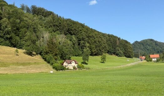 Hausen am Albis - Türlen
