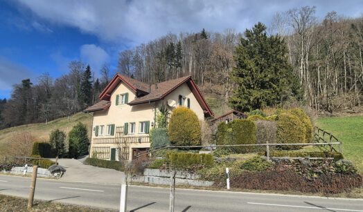 Hausen am Albis - Türlen