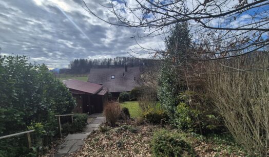 Hausen am Albis - Türlen